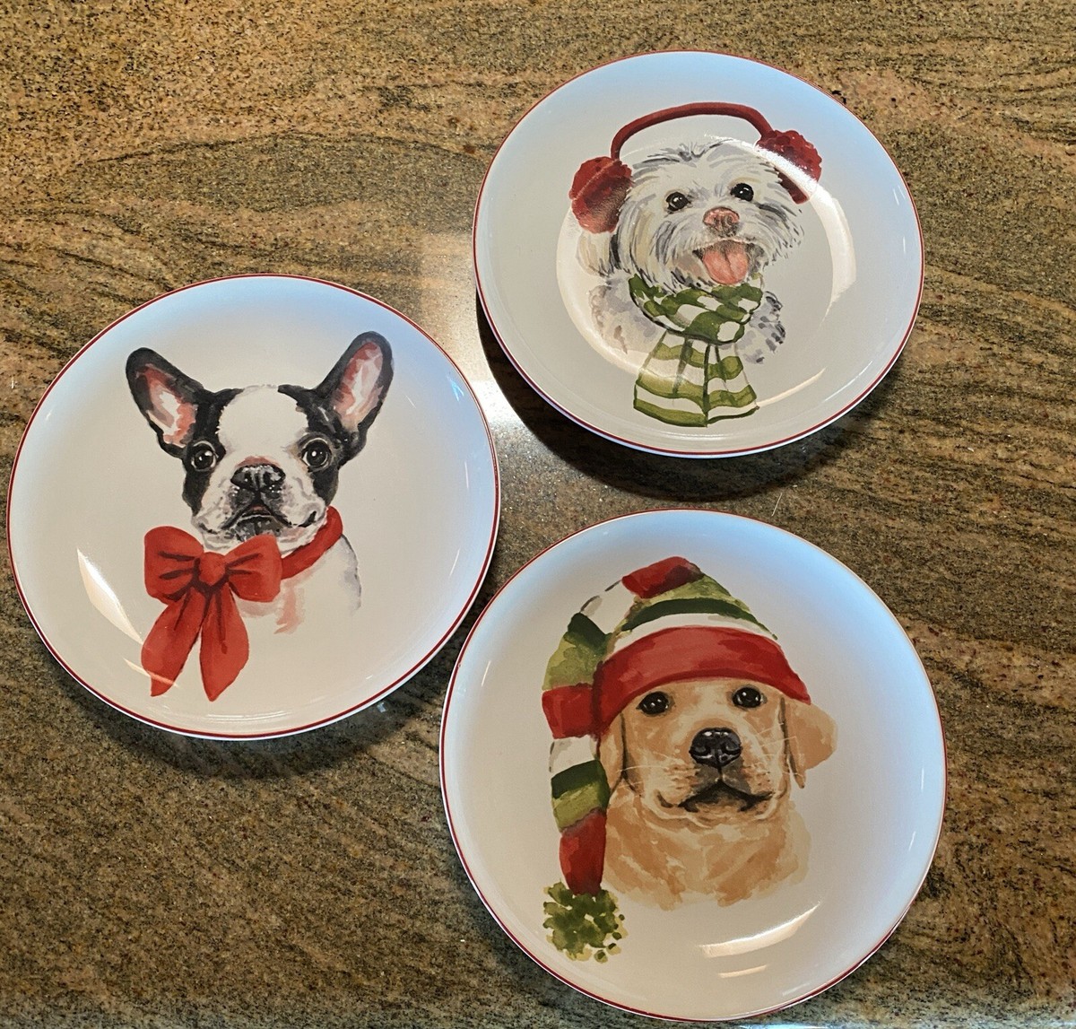 Pier Christmas Dog 8” Salad Dessert Plates Set Of Original Box