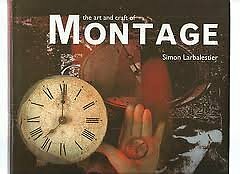 The Art and Craft of Montage (Art and Craft) By Simon Larbalesti