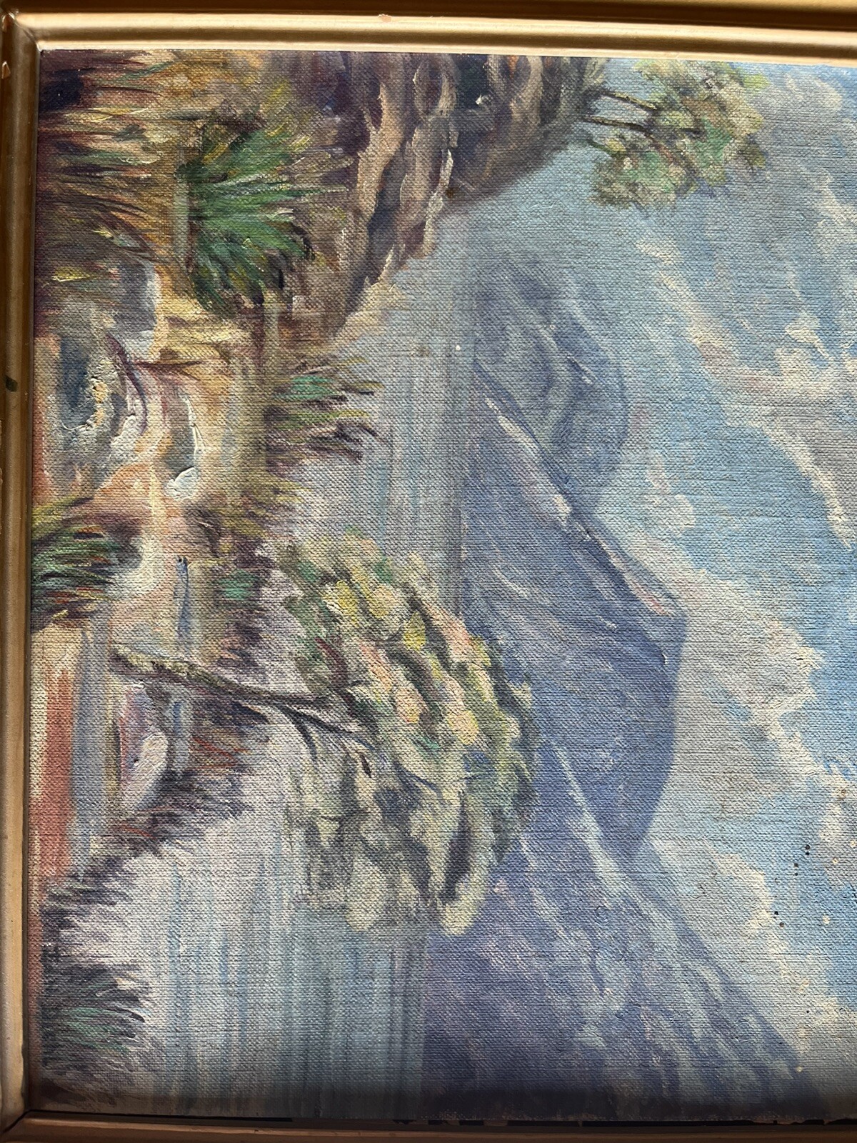 Picture 8 of 11