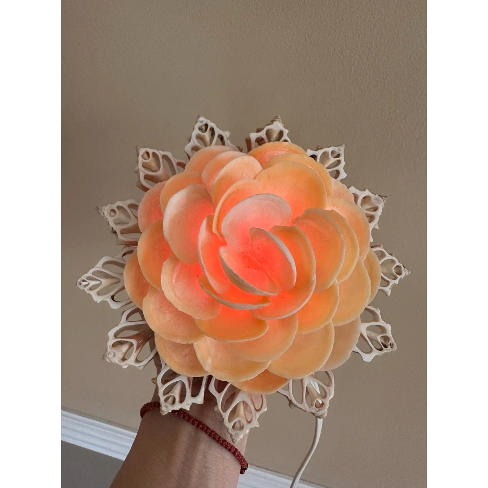 Vintage Natural Seashell flower Lamp Night Light Shell 6.5” retro nautical Mcm - Image 2 of 4