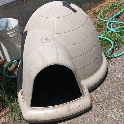 Petmate Indigo Insulated Plastic Outdoor Dog House Shelter, Large (L)