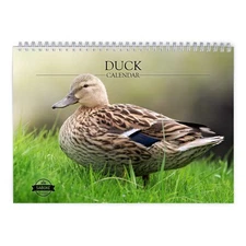 Duck 2026 Wall Calendar