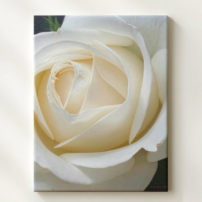 Hyperrealistic White Rose Canvas Pure Elegance In Bloom This Close-Up, Wall Art