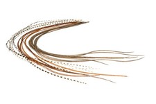 6 x Devaux Rooster Feathers mosca fliegen feather fly tying