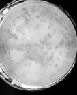 Mepra Italy  Stock Pot #24 Lid 18-10 Stainless Steel Green Vintage .. — photo 2