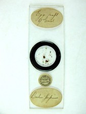  on The Hot Collector