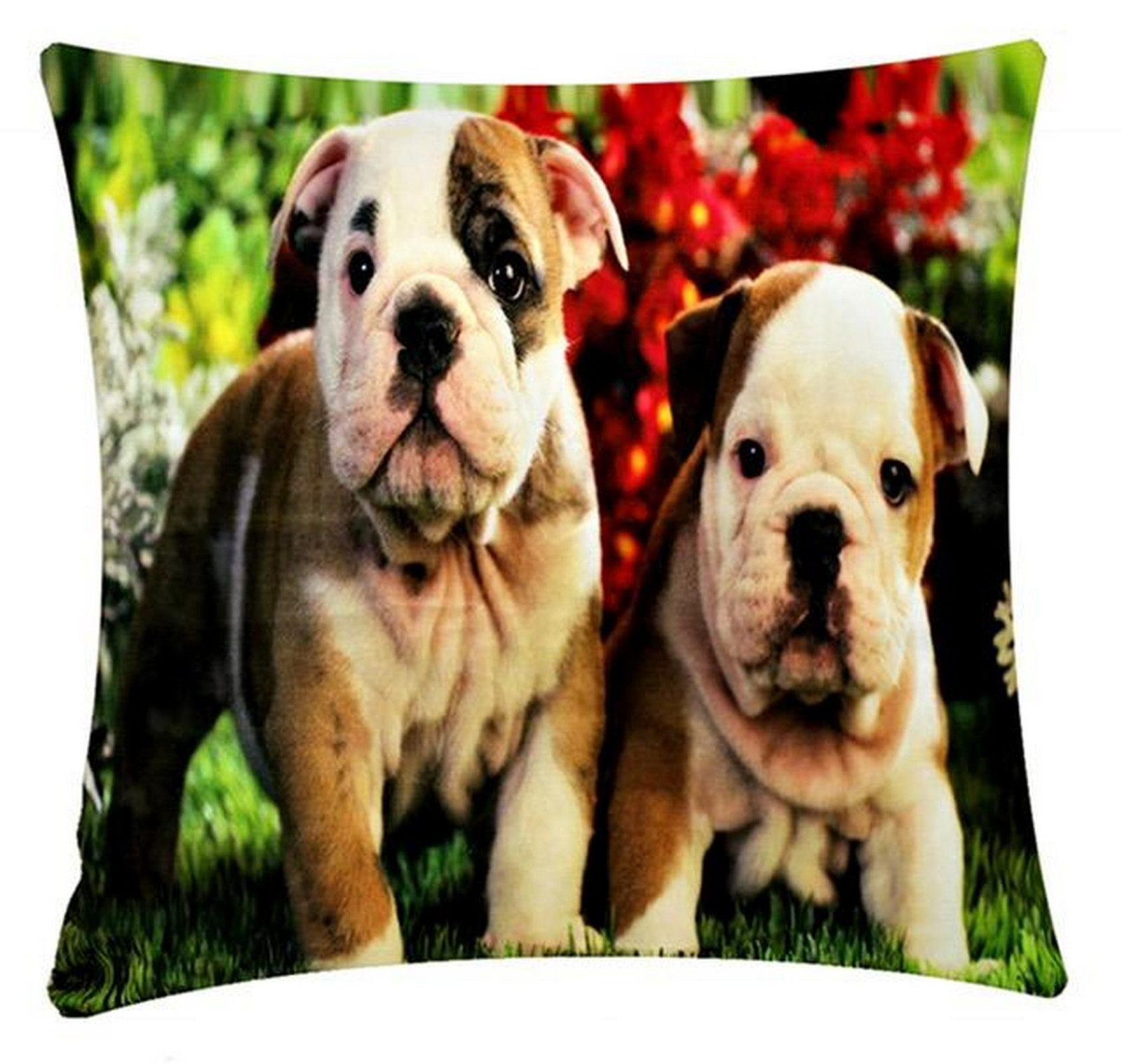 Bulldog Stampa Digitale 43.2x43.2cm Ciniglia Cotone Copricuscino Divano/Letto /