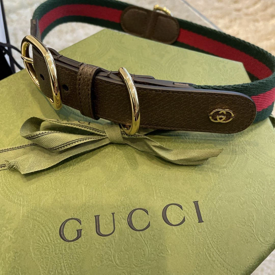 Gucci Dog harness and leash, dog Accessories