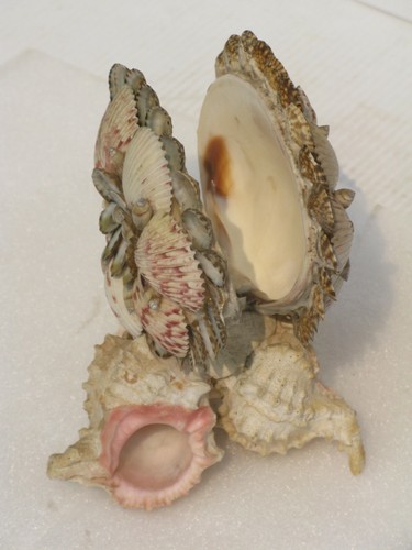 Seashell Table Napkin Holder - Picture 4 of 9