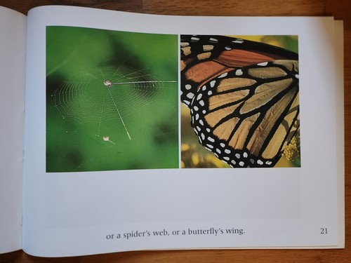 MacMillan/McGraw-Hill Nature Spy Eureka! by Ken Kreisler Big/Classroom book - Picture 5 of 5