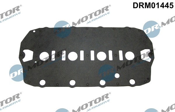 Dr.Motor Automotive DRM01445 Dichtung, Zylinderkopfhaube For Land Rover MG Rover-image