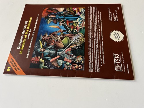 Dungeons and Dragons Alla ricerca dello sconosciuto TSR 1981 - Foto 12 di 12