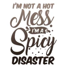 Hot Mess Spicy Disaster, Vinyl Decal Sticker, 40 Patterns & 3 Sizes, #6291