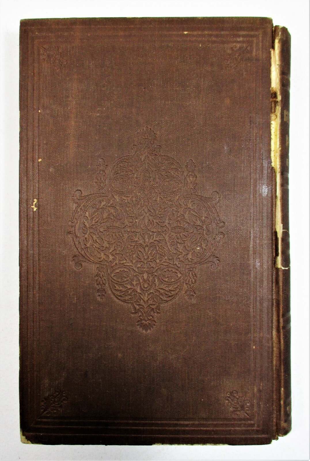 Picture 3 of 8