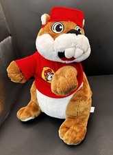 Buc-ee's 11" Beaver Plush Gas Station Mascot Stuffed Animal Bucees T-Shirt Hat