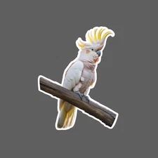 Cockatoo Sticker Waterproof Decal Bird Pet Animal Wildlife Nature Gift NEW