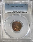 1895 Indian Head Penny PCGS MS 64 RB