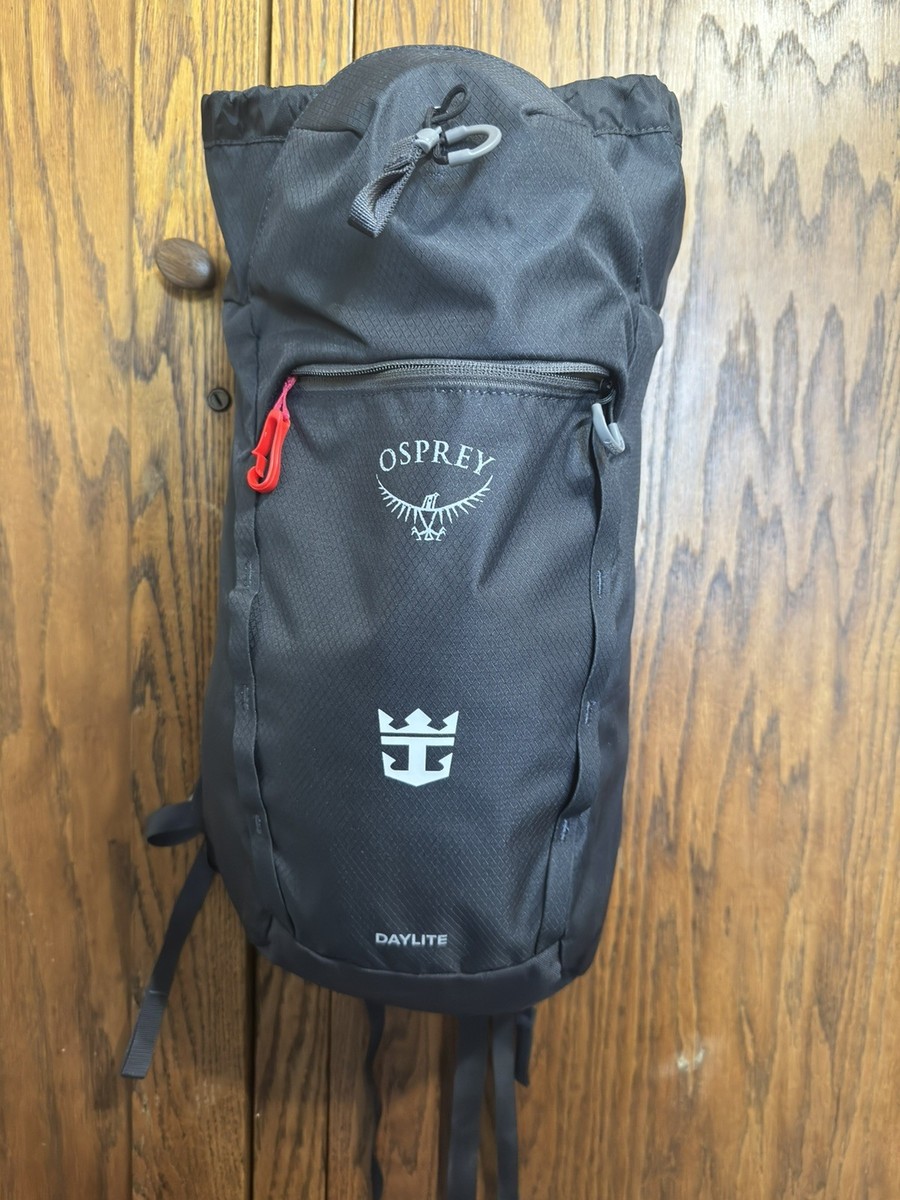 45 liter black hole patagonia Black Hole MLC 45L  Patagonia Worn Wear