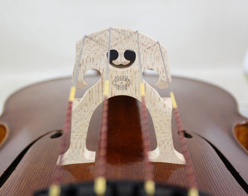 Master's Own Work! Pietro Giacomo Rogeri Cello 1717! "All European Wood"M8469 - Picture 6 of 6