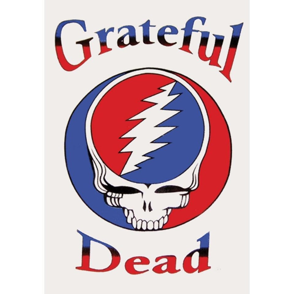 Grateful Dead Steal Your Face Logo White 60"x90" Tapestry | eBay
