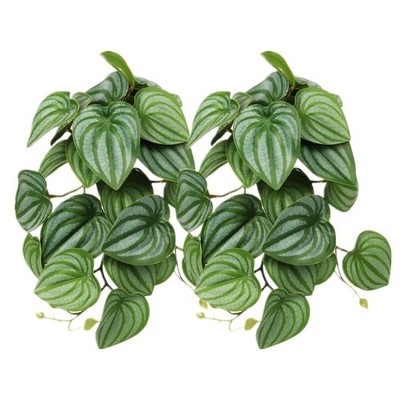 2-Pack Reptile Fake Plants Artificial Hanging Calathea Orbifolia with Suction