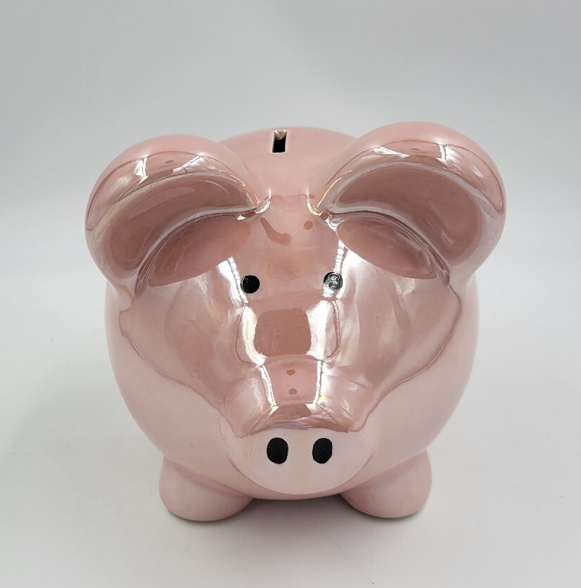 Target Piggy Bank Pastel Pink Ceramic Pig 2009 READ eBay