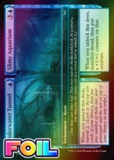 x1 Underwater Tunnel // Slimy Aquarium DSK Duskmourn MTG 79 FOIL COMMON M/NM 1x