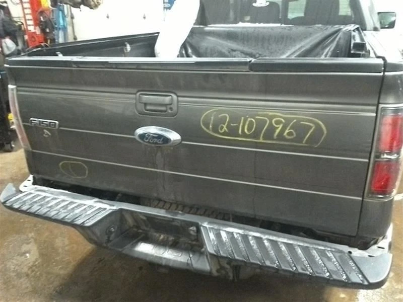 Regulador de ventana delantera del conductor súper cabina para camioneta Ford F150 11-14 10192690 Foto 4 de 4