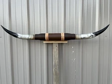 MOUNTED STEER HORNS 5 FEET  WIDE LONGHORN POLISHED MOUNT BULL COW