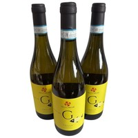 Villa Carumè, Grillo Sicilia DOC BIO 2024, 3 × 0,75 L, Bio WeißWein Aus Sizilien