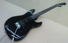 FERNANDES LIMITED EDITION Electric Guitar-02