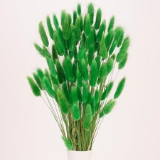 100 Pcs Green Bunny Tails Dried Flowers