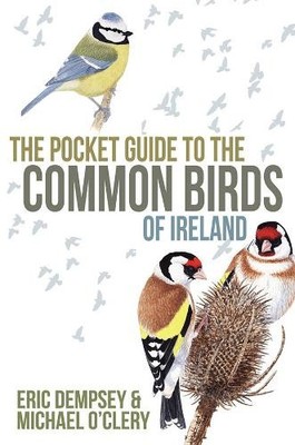 Eric Dempsey The Pocket Guide to the Common Birds of Ireland (Taschenbuch)