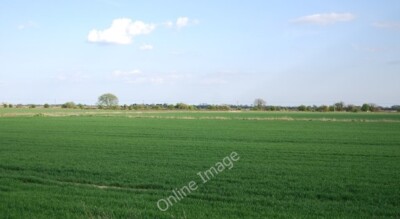 Photo 6x4 Large wheat field in the Brede Valley Rye  c2011