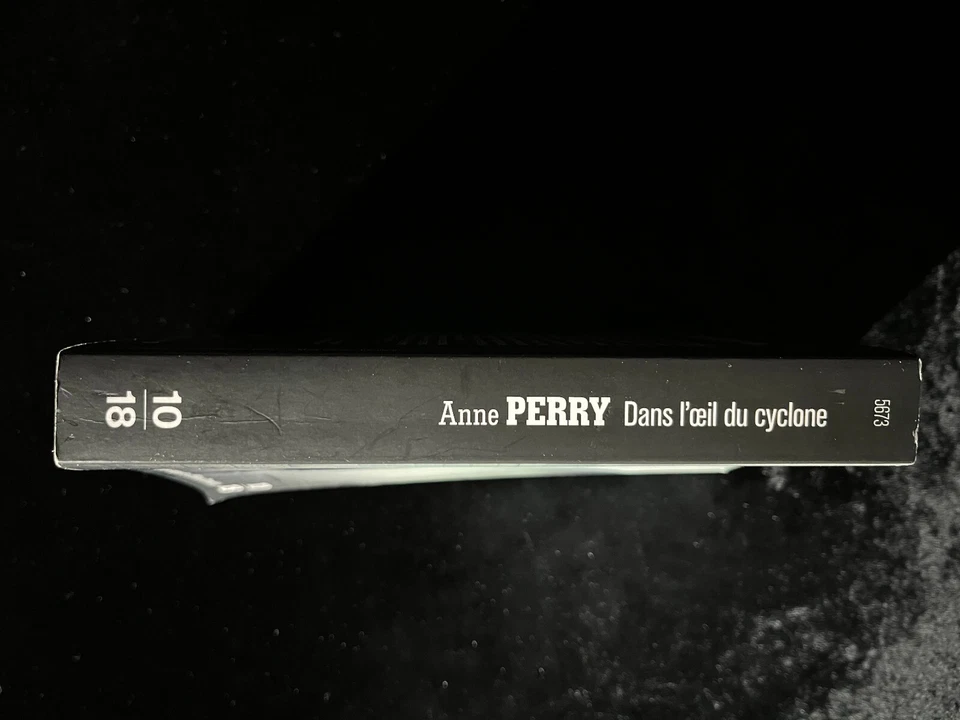 ¤ Roman Thriller - Anne PERRY - DANS L'OEIL DU CYCLONE - éd. 10|18 - 2020 - Photo 3/4
