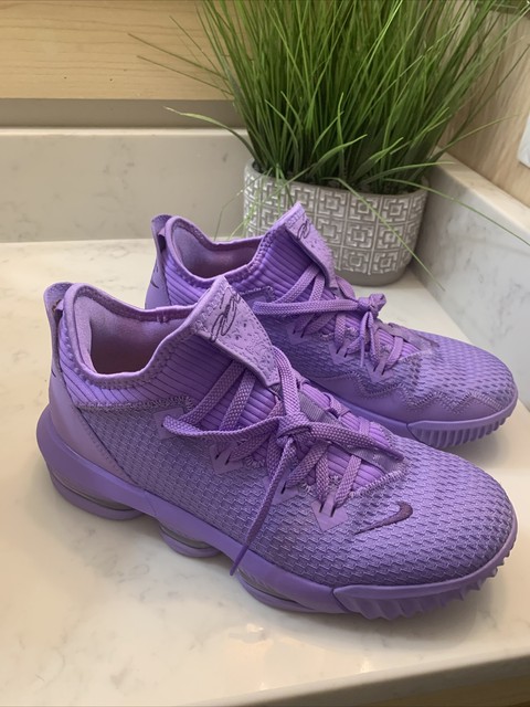 lebron 16s purple