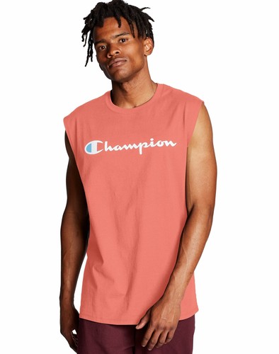 Sleeveless T-Shirt Champion Men's Tee 