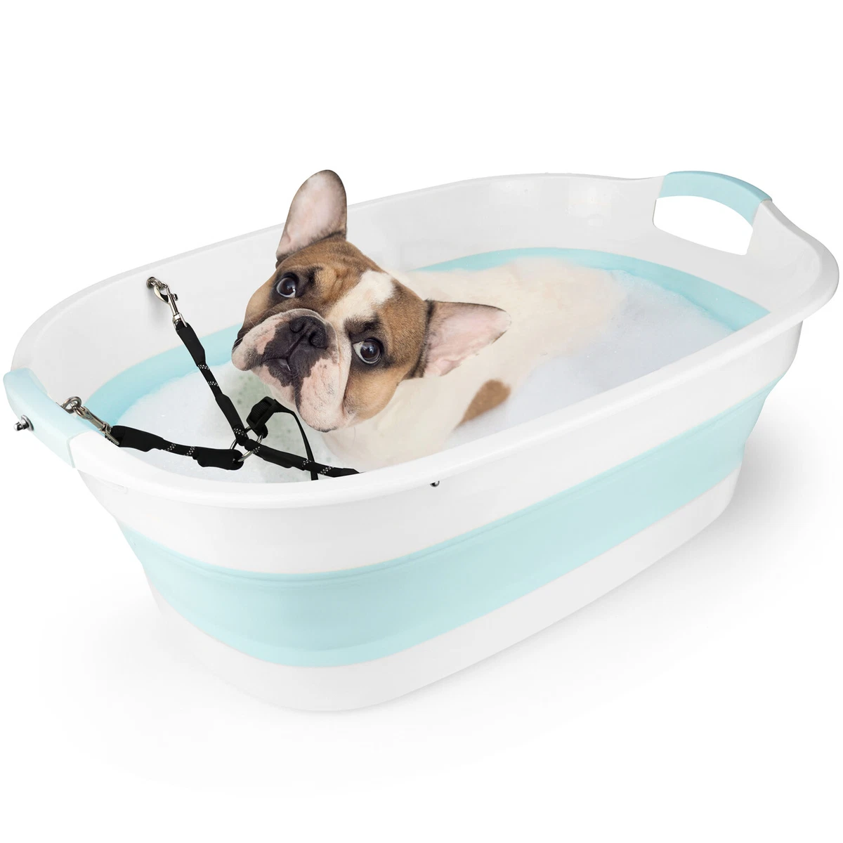 Small dog store bath tub