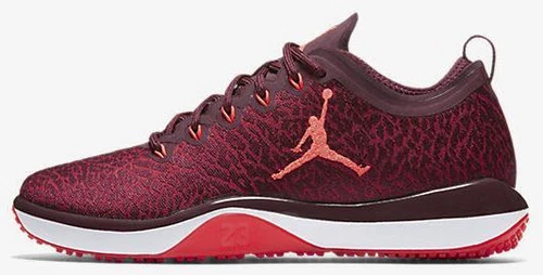 Jordan Trainer 1 Low Night Maroon