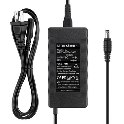 3A Adapter Charger For Wheelspeed Scooter Teen/ WS1/ WS1 Pro E-Scooter Power