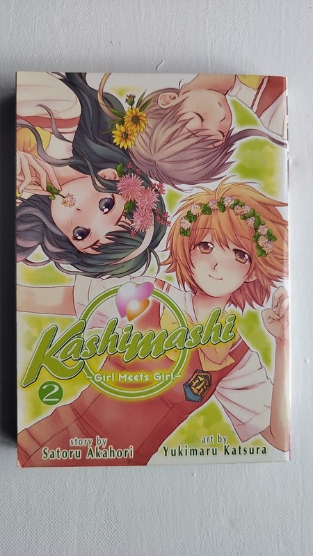Kashimashi Girl Meets Girl, Manga Book 2