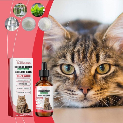 Urinary Tract For Cats, Natural Cat Urinary Tract Infection Dropshot R7U4