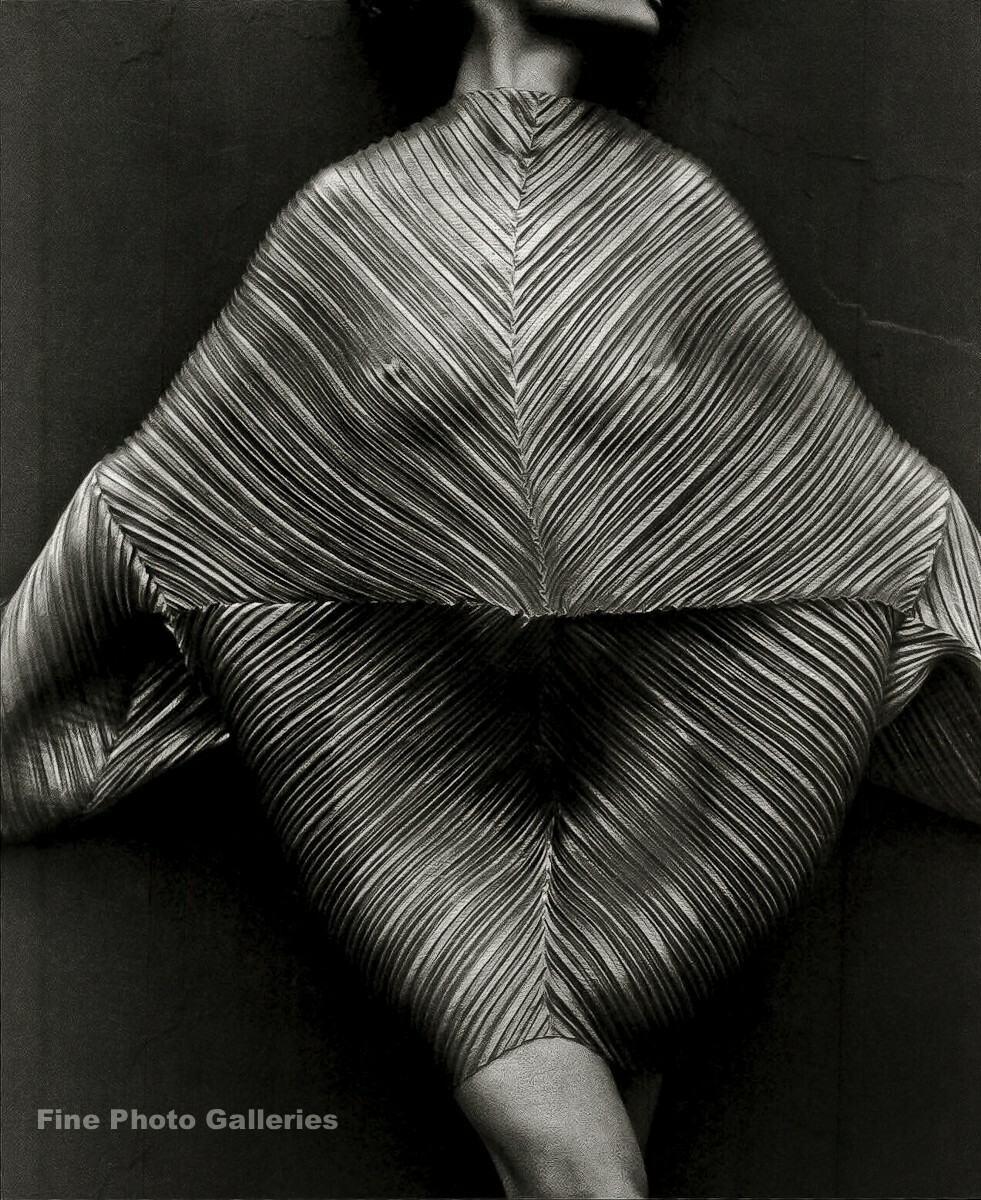 HERB RITTS 写真集 Herb Ritts: Work ハーブ・リッツ写真集(ハーブ・リッツ) / 古書