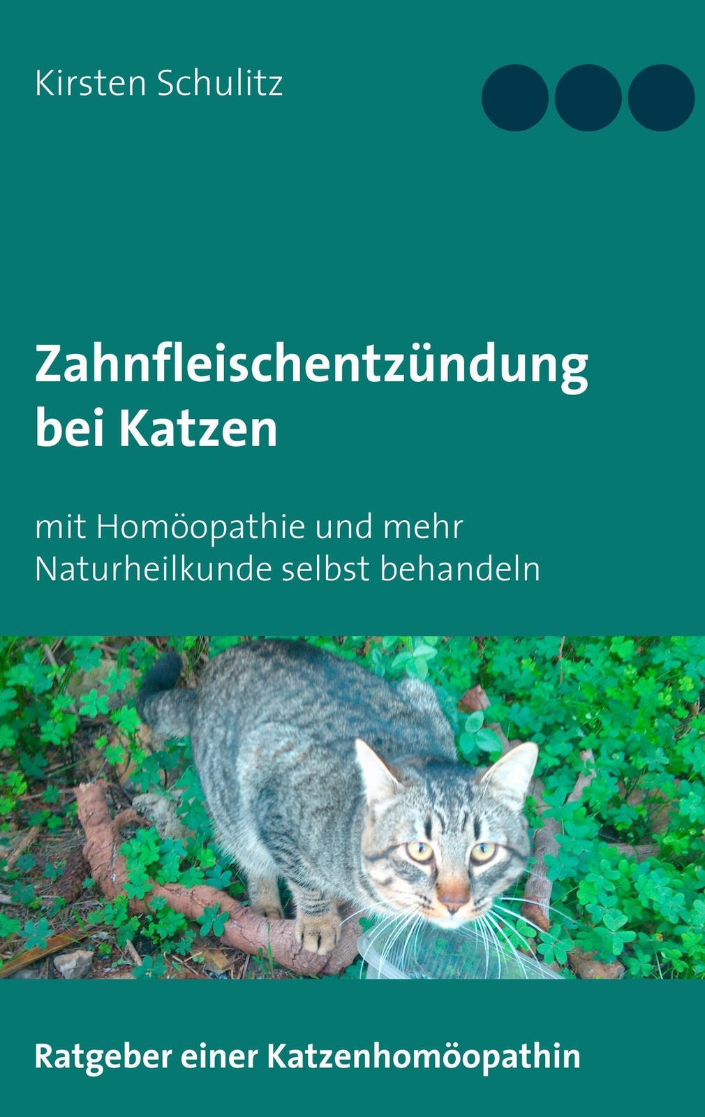 Thumbnail - Zahnfleischentzündung Bei Katzen | Kirsten Schulitz | Taschenbuch |