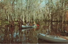 Postcard Canoe Fish-eating Creek Tom Gaskins Cypress Kneeland Palmdale Florida