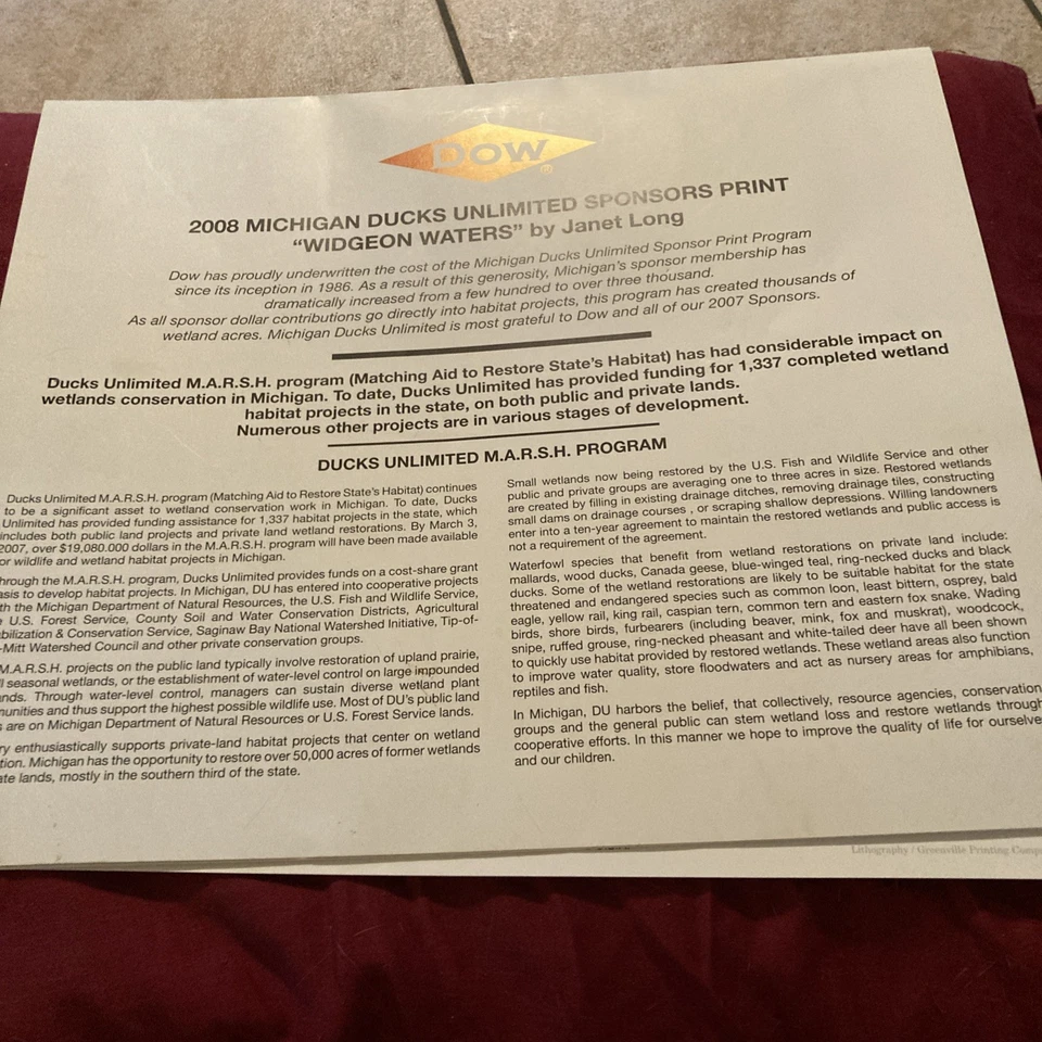 Ducks Unlimited Druck von Janet Long 2008 Druck des Jahres - Bild 4 von 4
