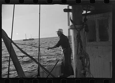 Trawler,Fishing Boat,Provincetown,Massachusetts,MA,Barnstable County,FSA,9