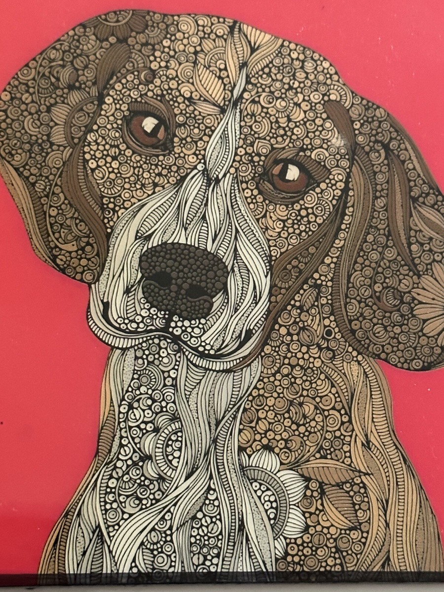 Hotelkalingaashok Nettoyer Stan Smith Blanche Drawing Beagle