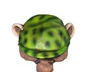 Bild 10 von 12