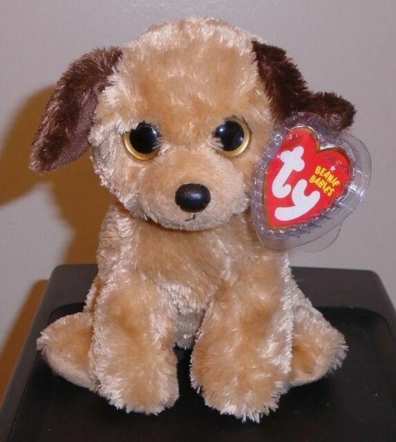 ty beanie baby tag for dog